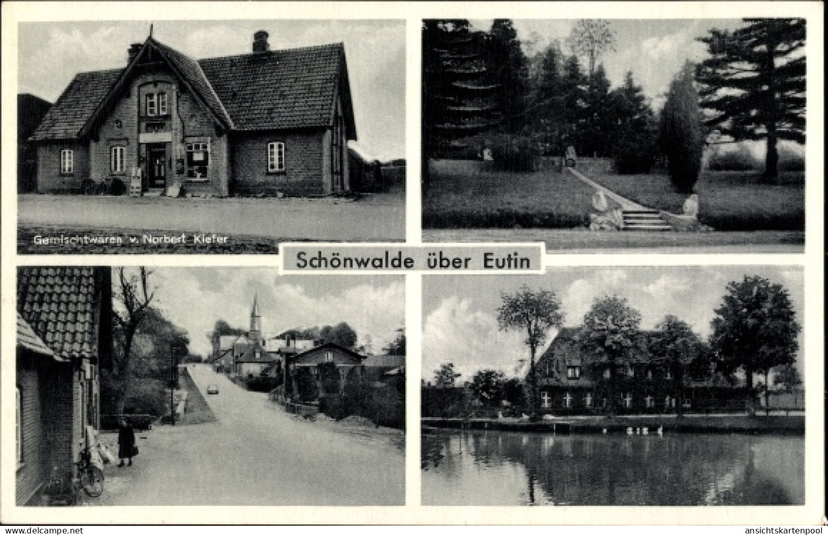 CPA Schönwalde am Bungsberg in Ostholstein, Geschäftshaus Norbert Kiefer, Ortsansichten