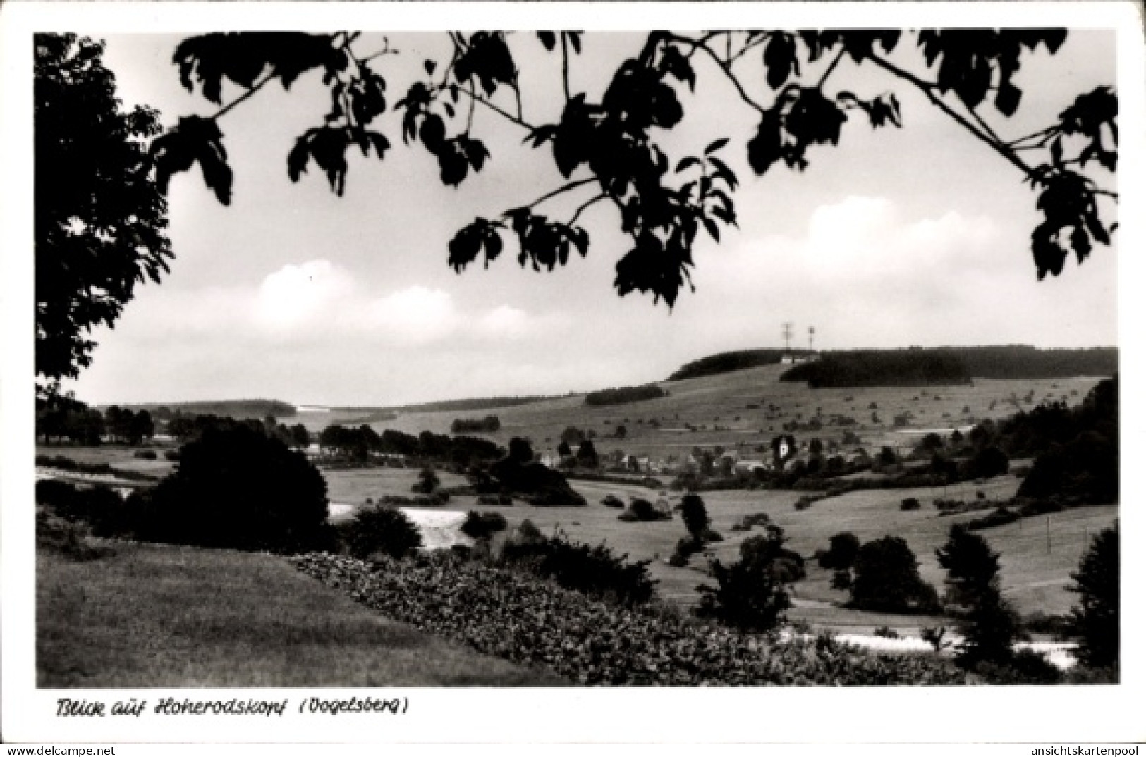 CPA Schotten im Vogelsbergkreis Hessen, Taufsteinhütte, Hoherodskopf