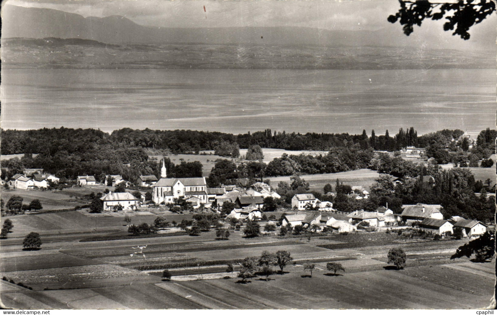 CPA Sciez Et Le Lac Leman