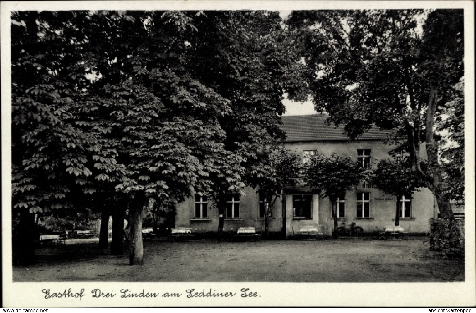 CPA Seddin Seddiner See Brandenburg, Gasthof Drei Linden
