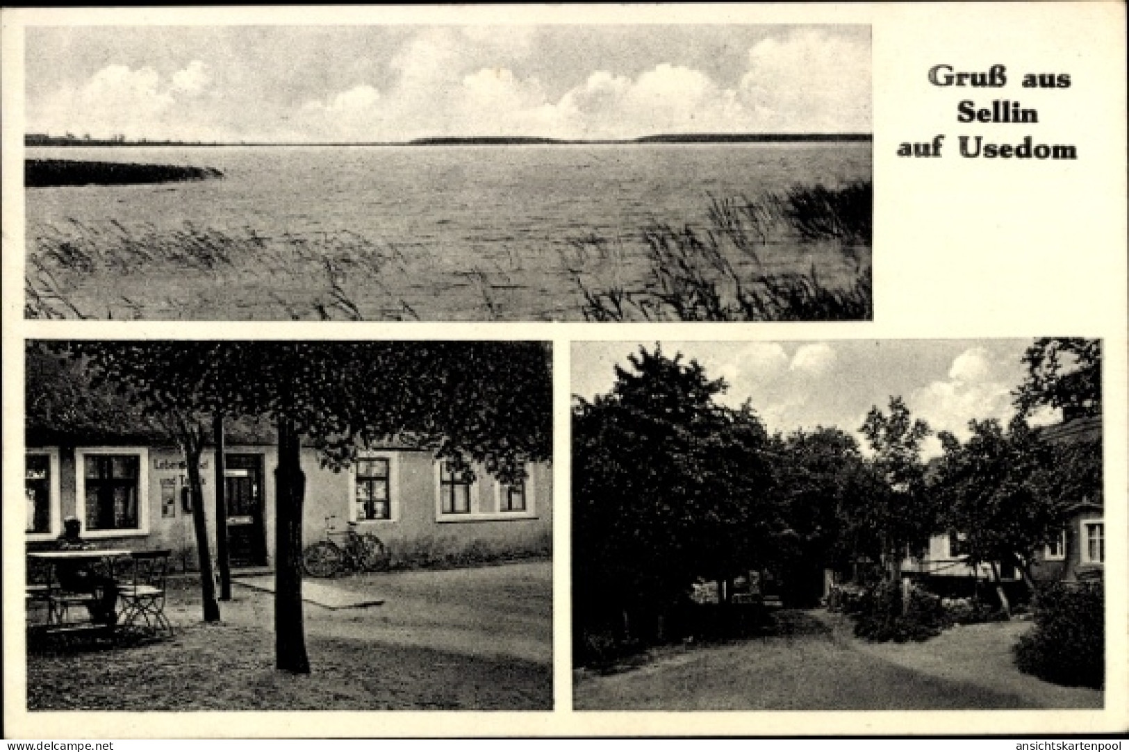 CPA Sellin Ostseebad Heringsdorf auf Usedom, Wasseransicht, Kolonialwarenhandlung Johann von Uelsen