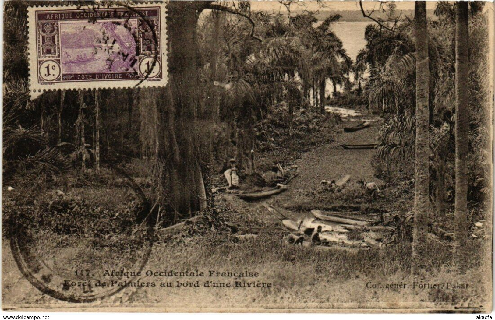 CPA SENEGAL Forél de Palmiers au bord d'une Riviere (70008)