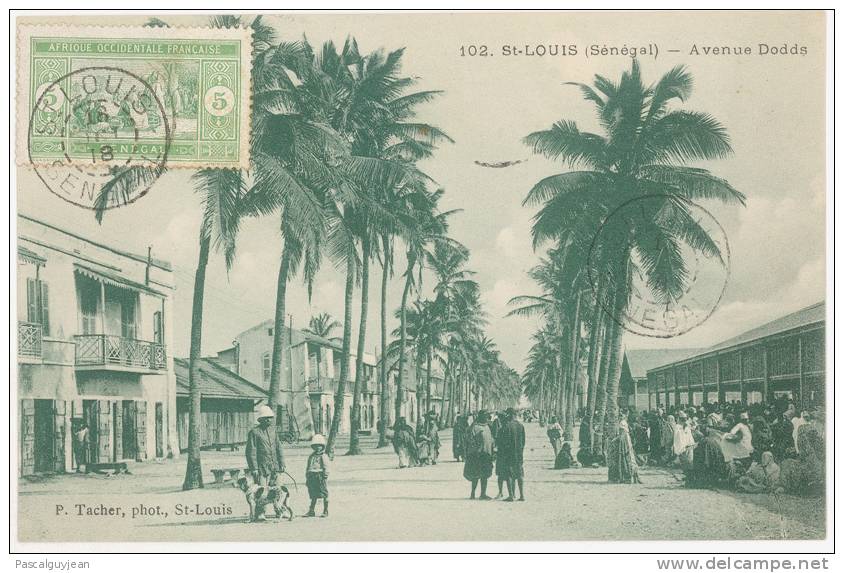 CPA SENEGAL - SAINT-LOUIS - AVENUE DODDS