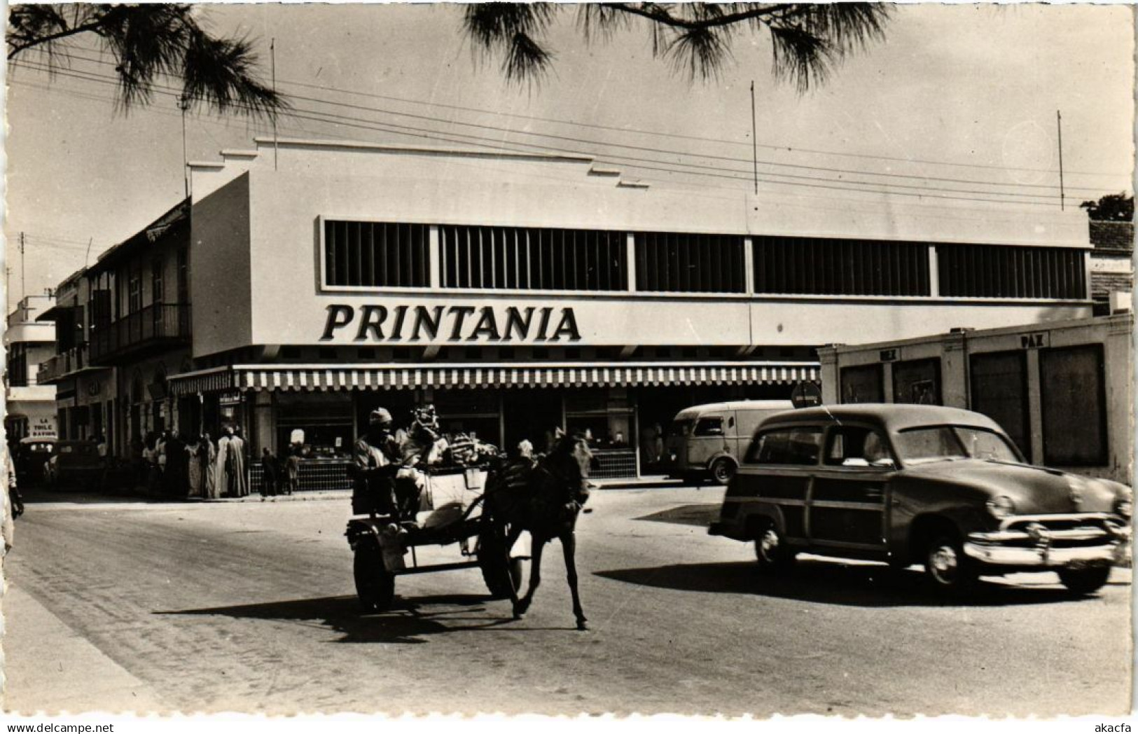 CPA SENEGAL Saint-Louis - Saint-Louis du SENEGAL - Printania (1060932)