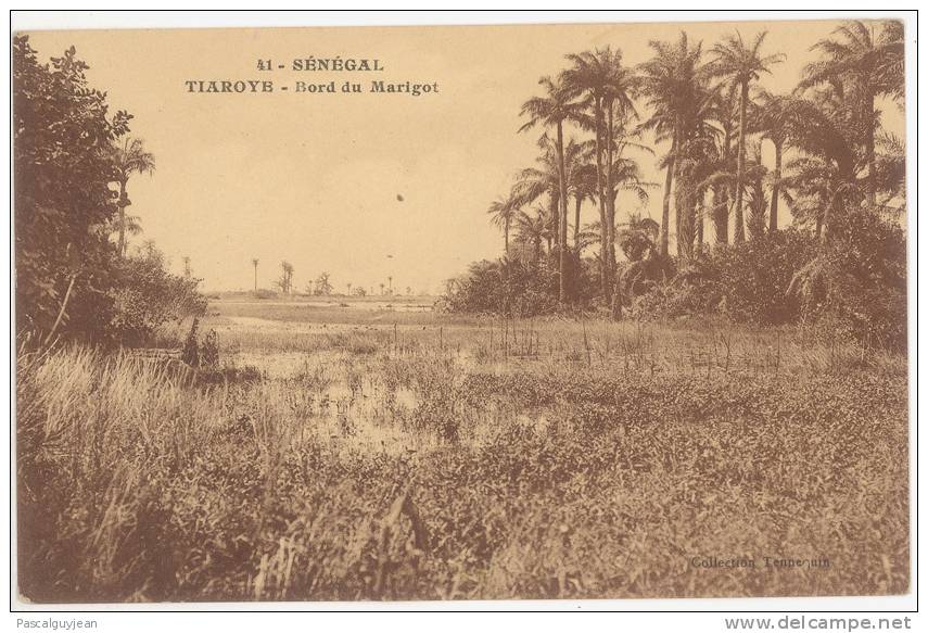 CPA SENEGAL - TIAROYE - BORD DU MARIGOT