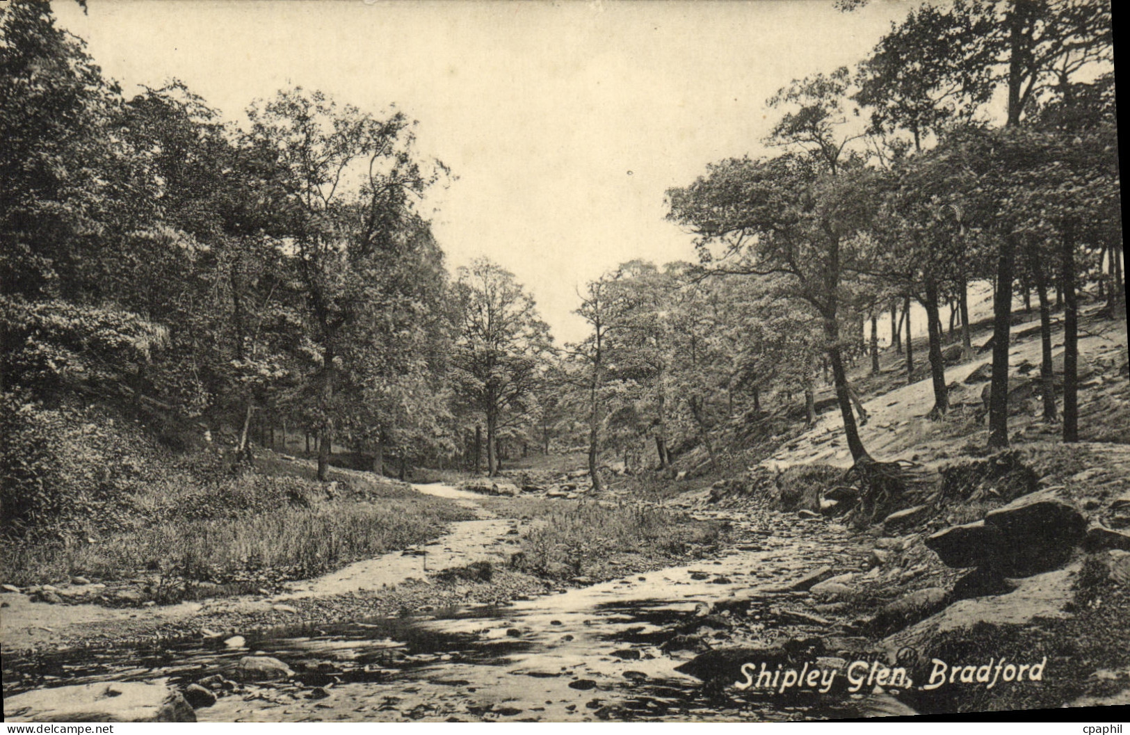CPA Shipley Glen Bradford