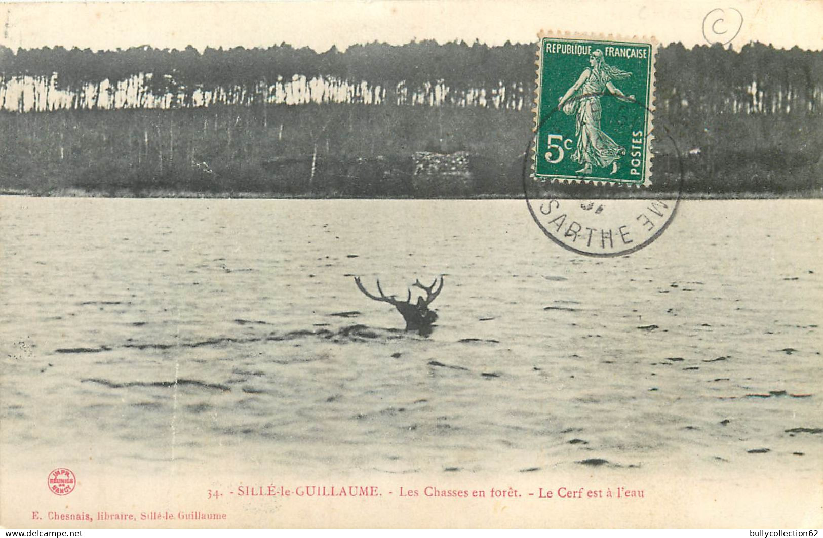 CPA Sille le Guillaume 72/219
