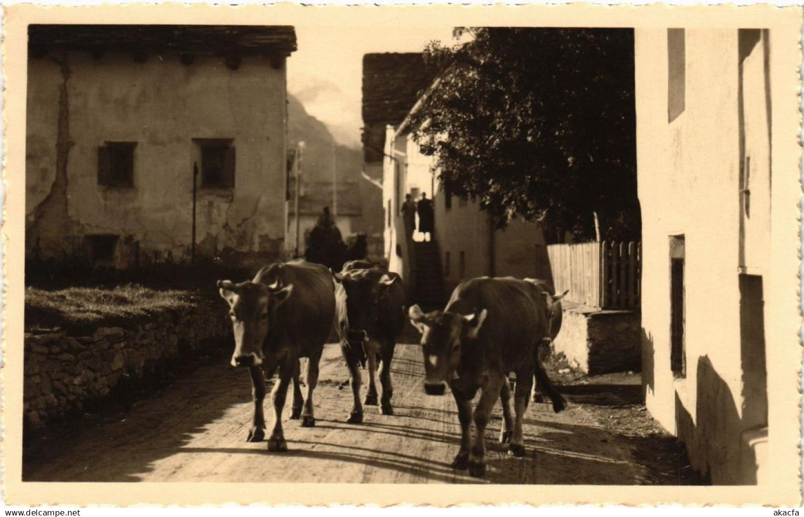 CPA SILS im ENGADIN Dorfstrasse in Baseglia SWITZERLAND (705290)