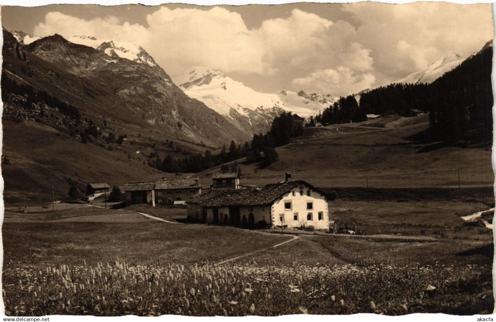 CPA SILS im ENGADIN Platta im Fextal SWITZERLAND (705281)