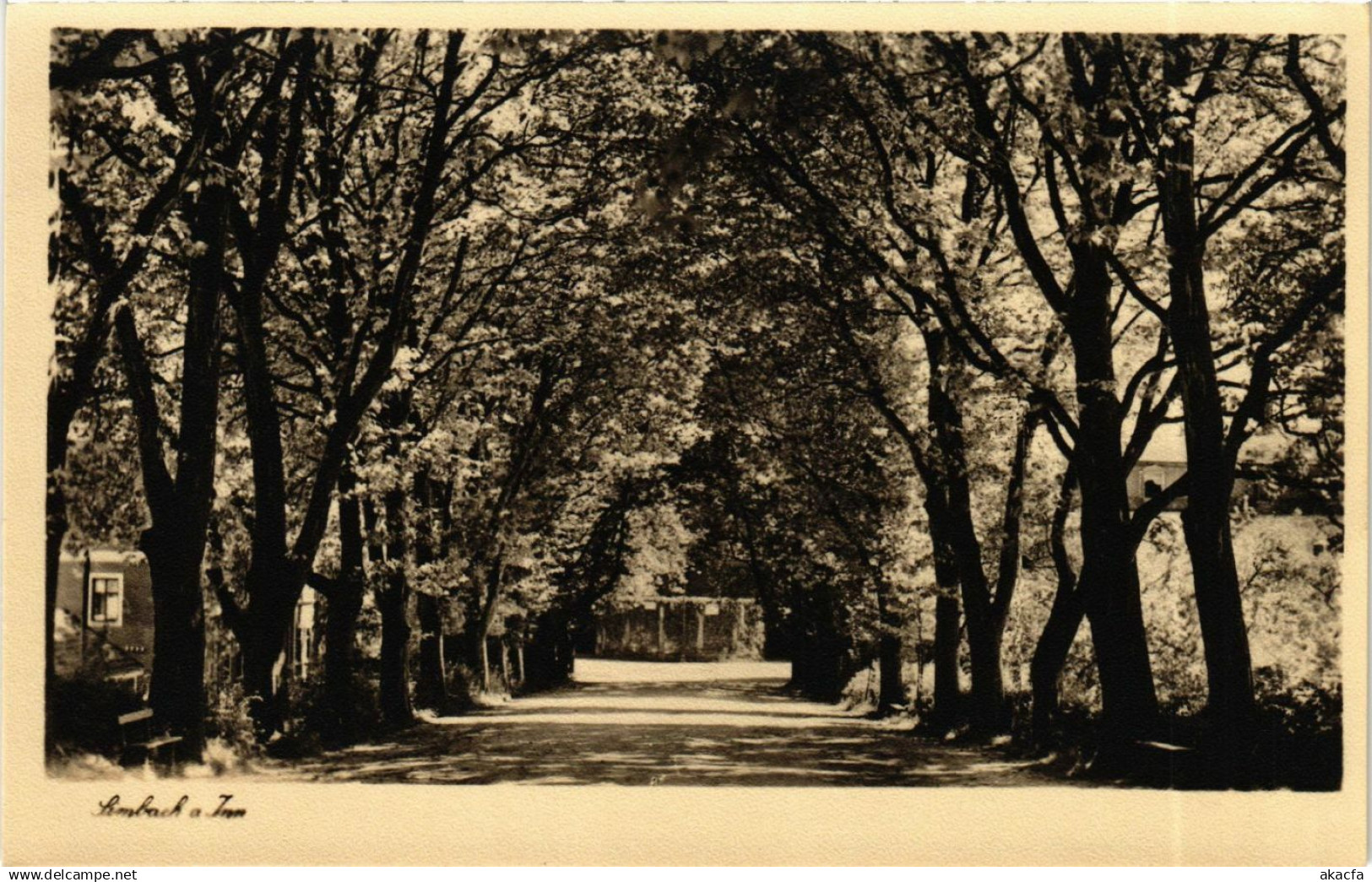 CPA Simbach a.Inn GERMANY (891969)