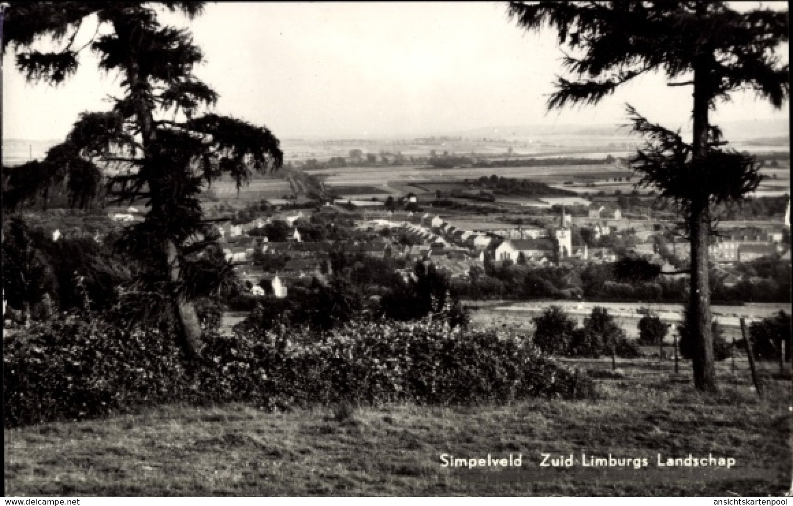 CPA Simpelveld Limburg Niederlande, Zuid Limburgs Landschap
