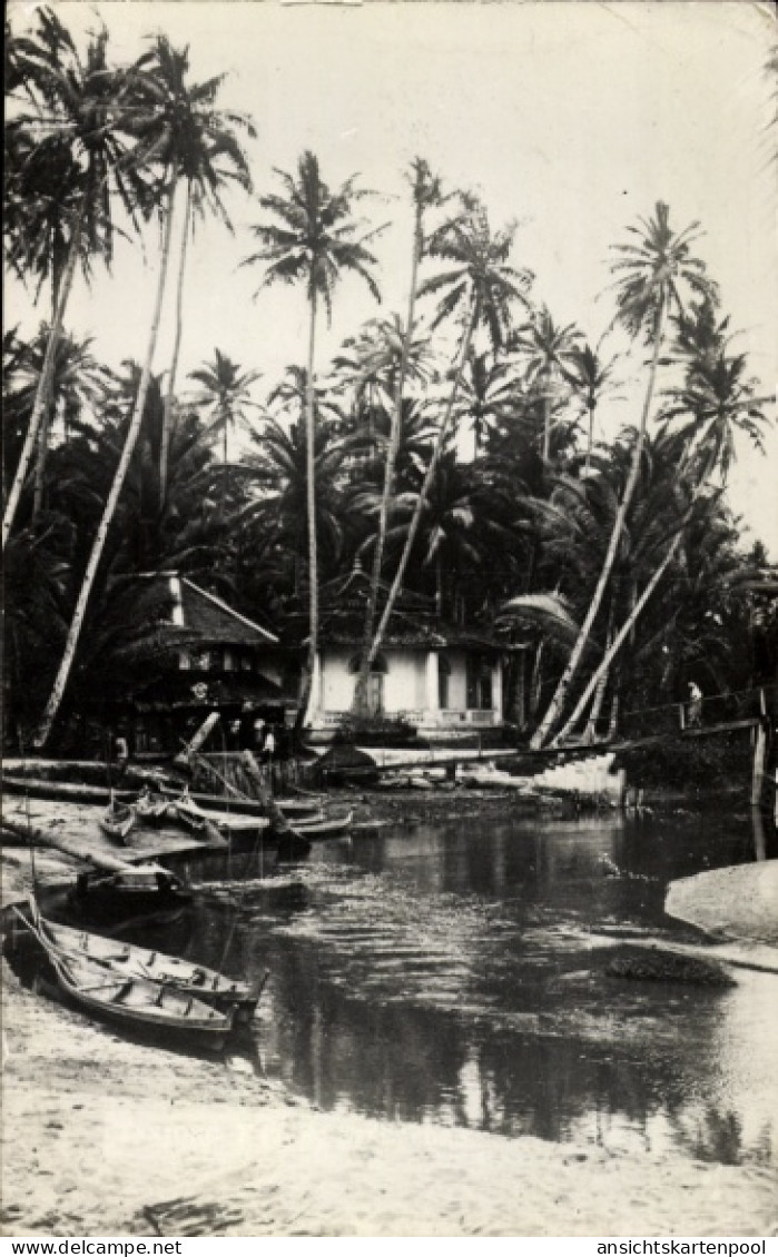 CPA Singapur Singapur, Tanjong Katong, Palmen