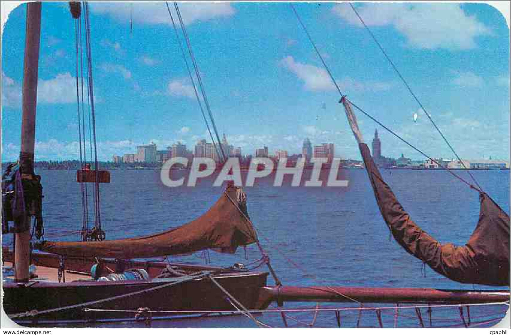 CPA Skyline of Miami Fla