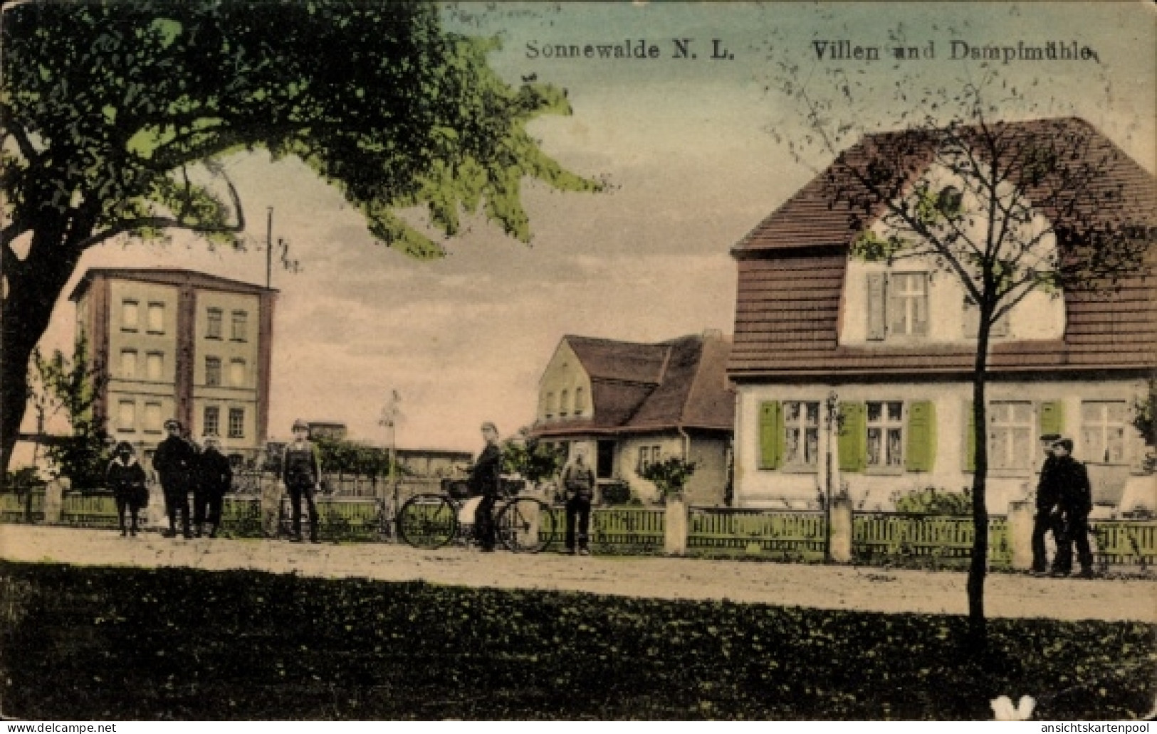 CPA Sonnewalde in der Niederlausitz, Villen, Dampfmühle