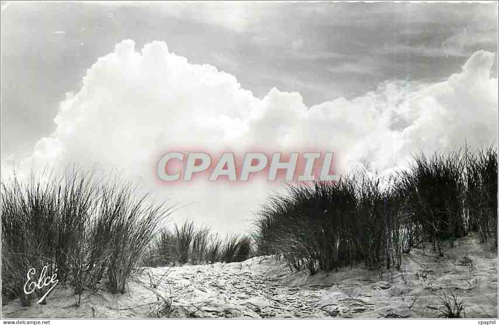 CPA Soulac sur Mer Gironde La Dune sauvage a l'Ocean
