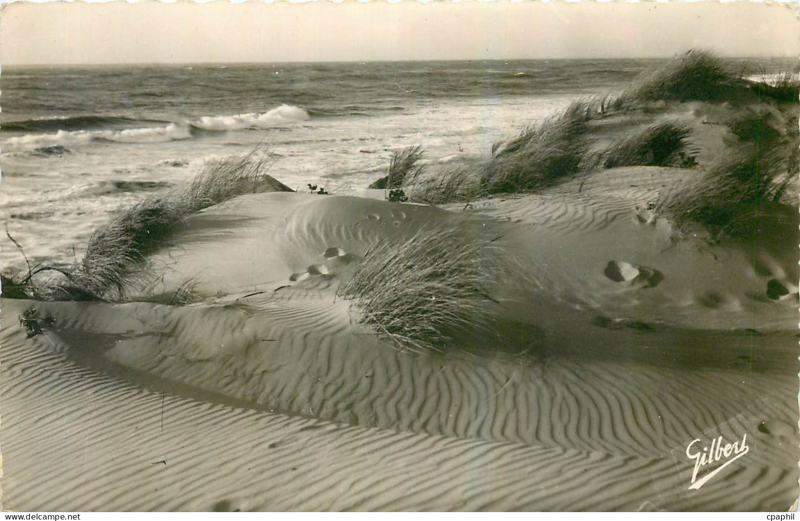 CPA Soulac sur mer Les Dunes et l'Ocean