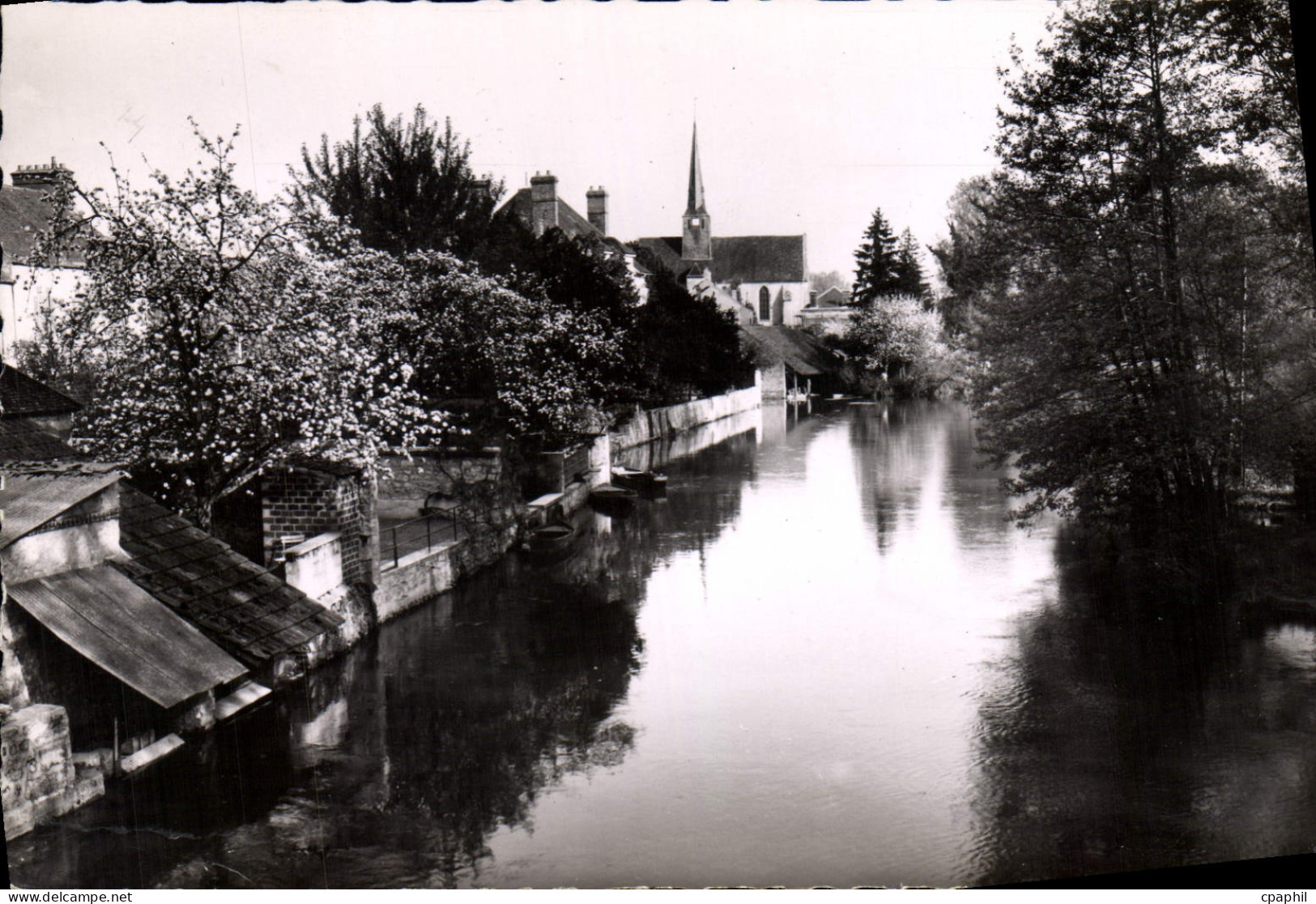 CPA Souppes sur Loing S et M Le Loing vu du Pont