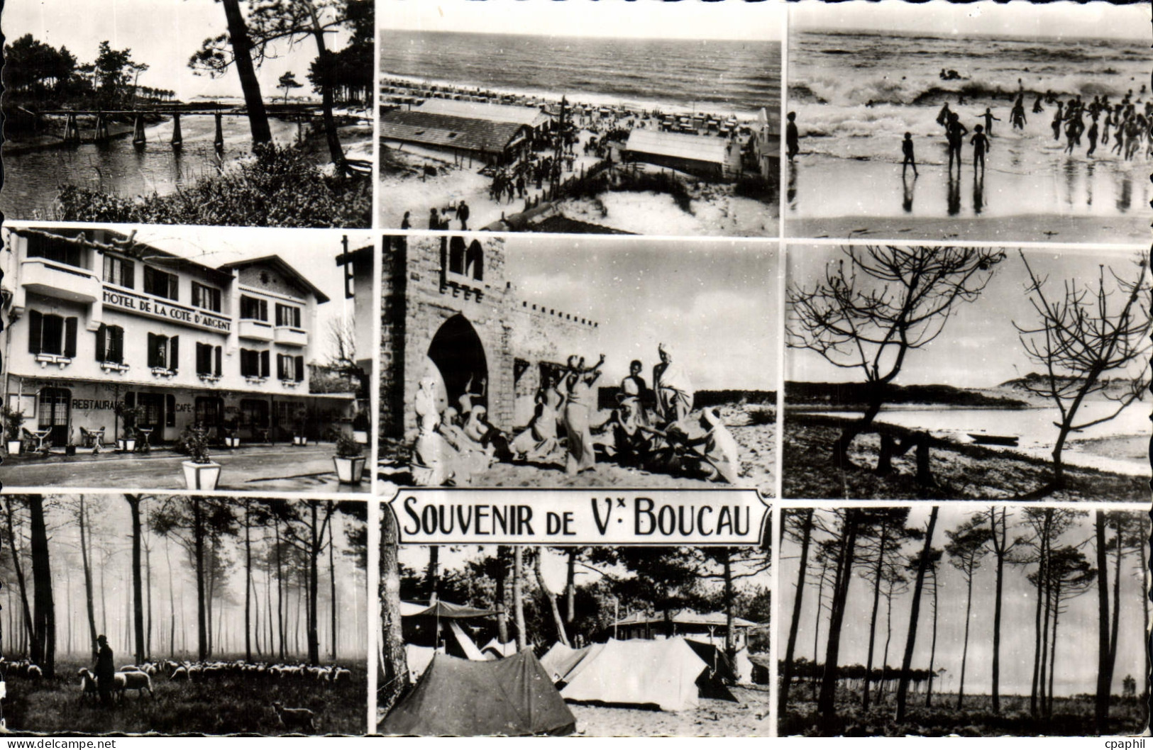 CPA Souvenir de Boucau