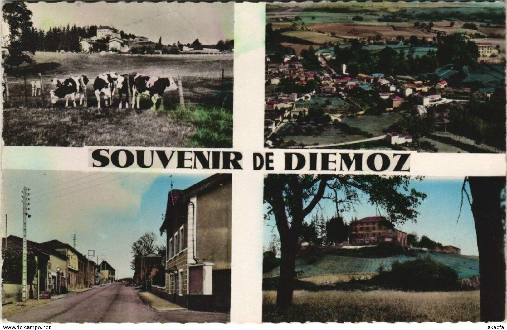 CPA Souvenir de DIÉMOZ (123894)