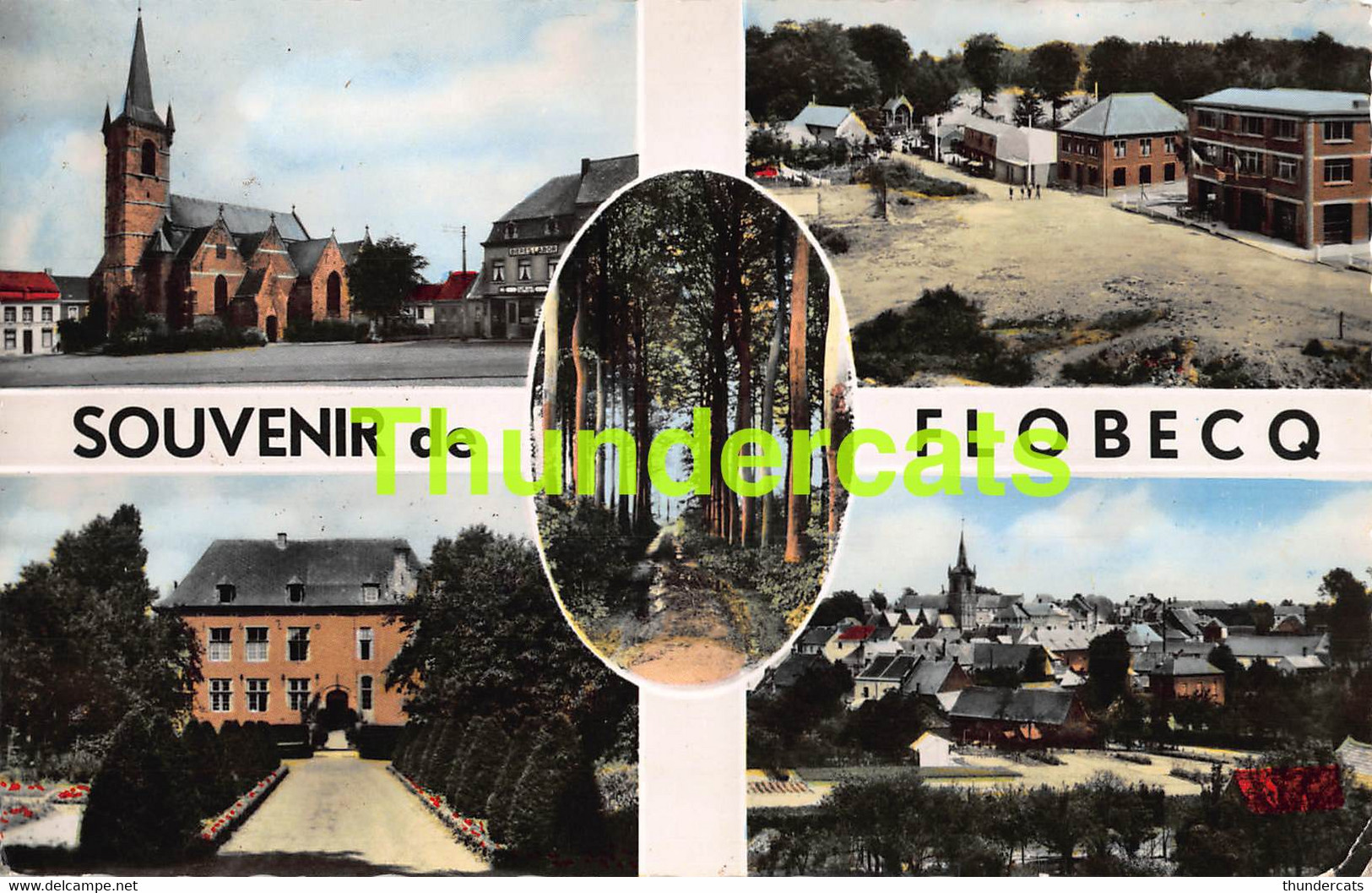 CPA SOUVENIR DE FLOBECQ