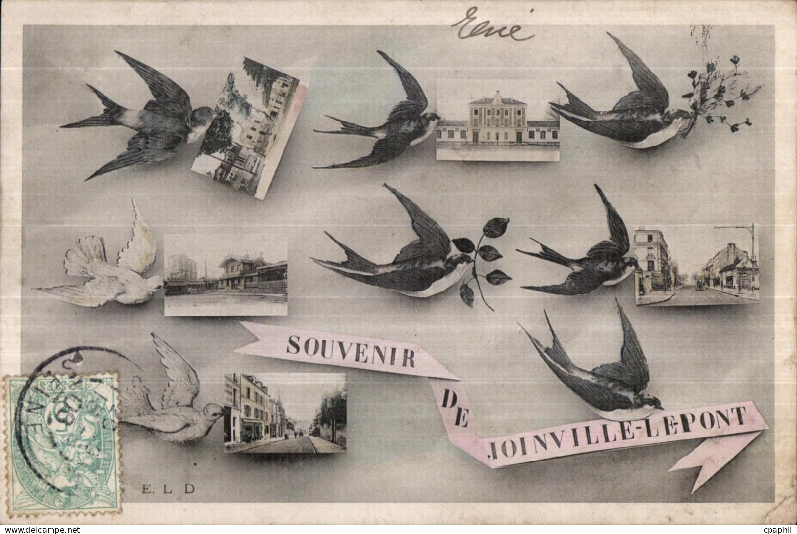 CPA Souvenir de Joinville le Pont Hirondelles