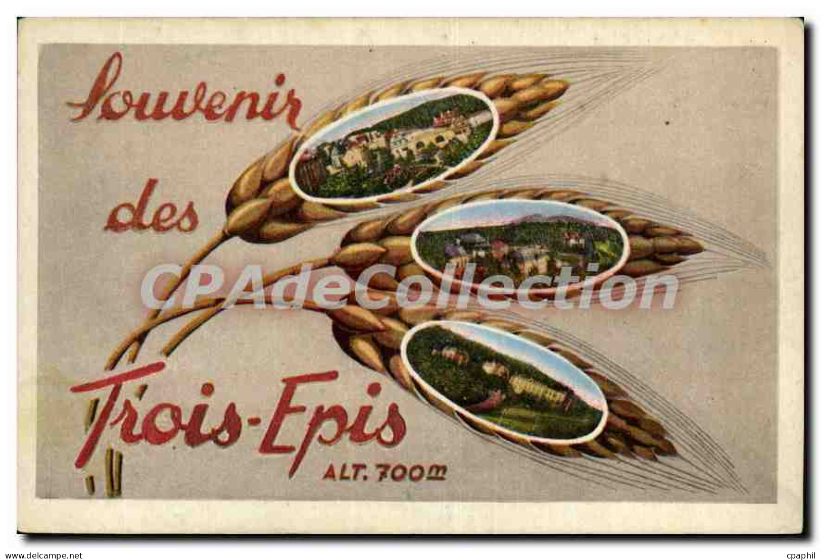 CPA Souvenir des Trois Epis