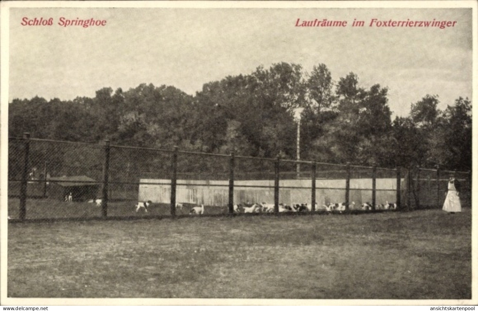 CPA Springhoe Hohenlockstedt in Holstein, Schloss Springhoe, Laufräume im Foxterrierzwinger