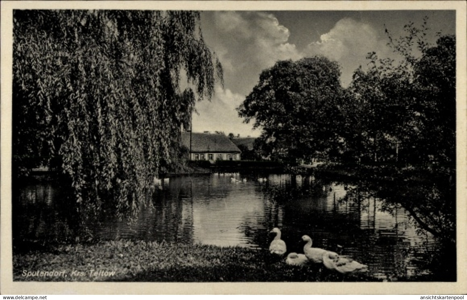 CPA Sputendorf Stahnsdorf in Brandenburg, Teich, Gänse