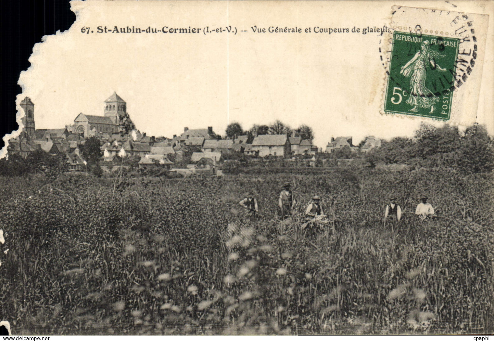 CPA St Aubin du Cornier L et V Vue Generale et Coupeurs de glaieuls