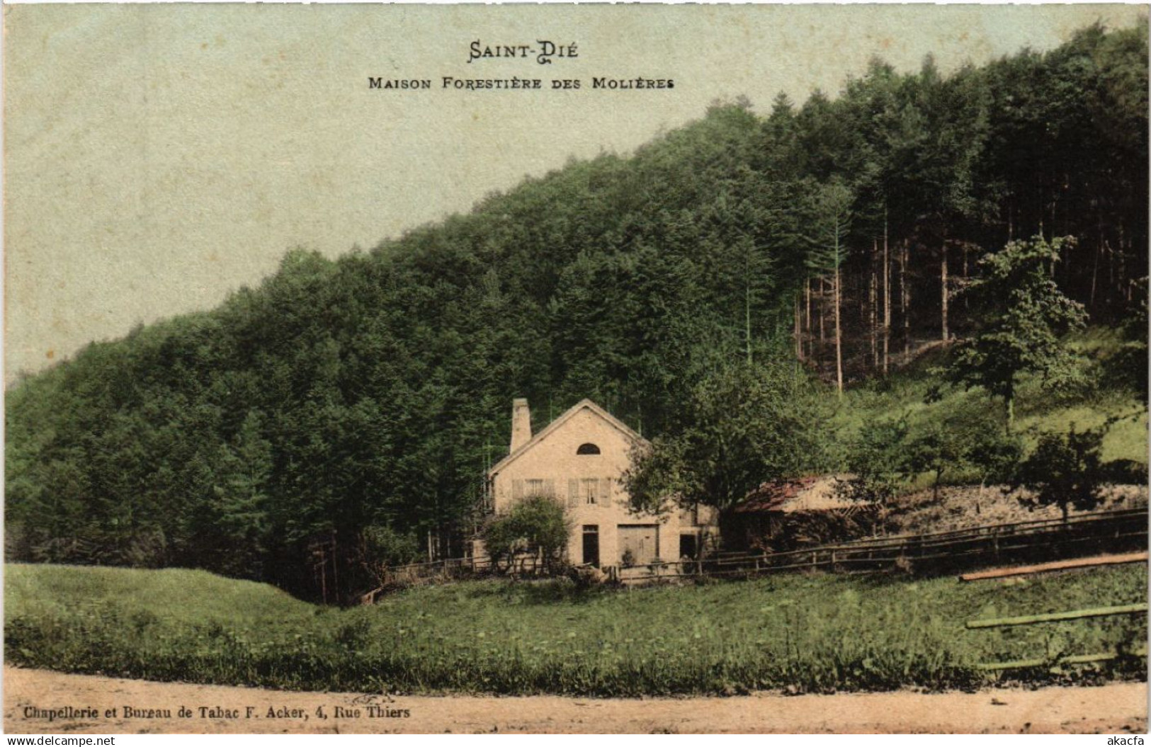 CPA St-DIÉ - Maison Forstiere des Molieres (456107)