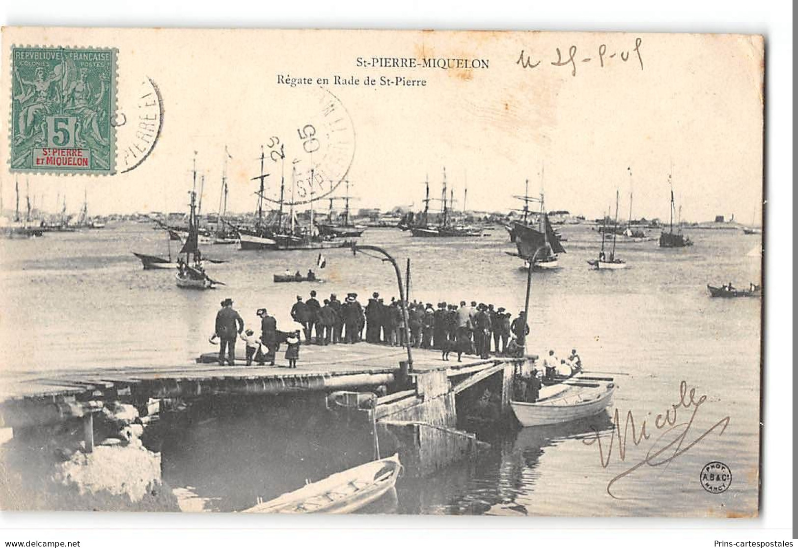 CPA St Pierre et Miquelon Régate en Rade de St Pierre