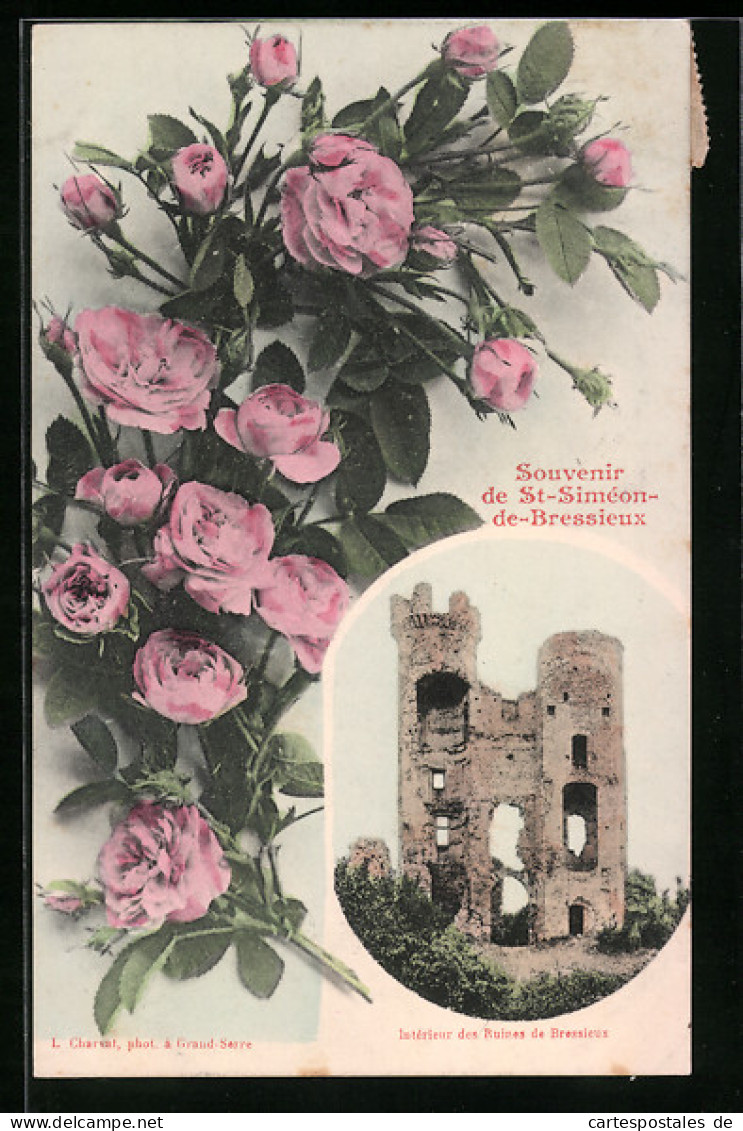 CPA St-Siméon-de-Bressieux, Interieur des Ruines de Bressieux
