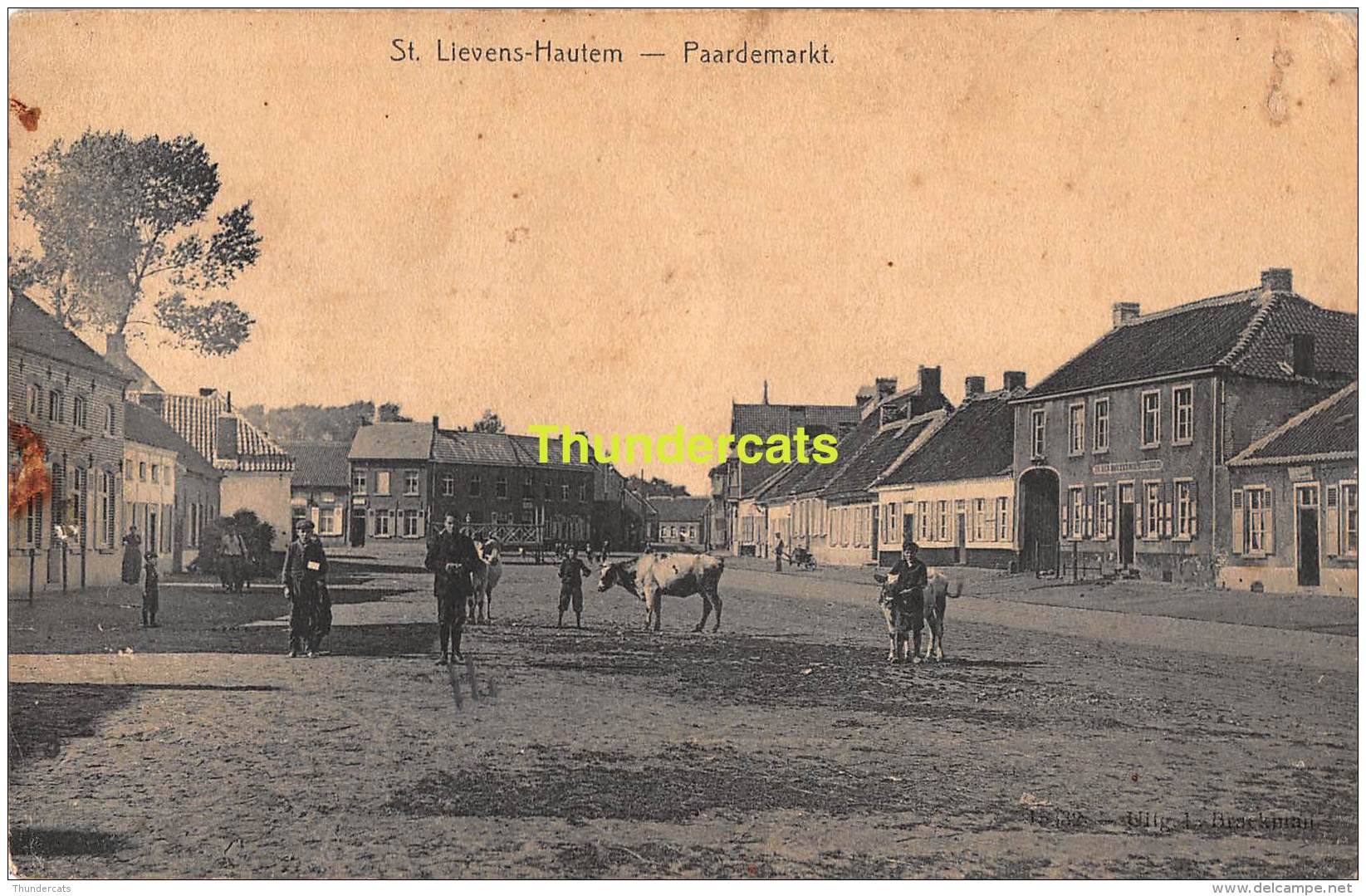 CPA ST SINT LIEVENS LIEVIN HAUTHEM HAUTEM HOUTEM  PAARDEMARKT