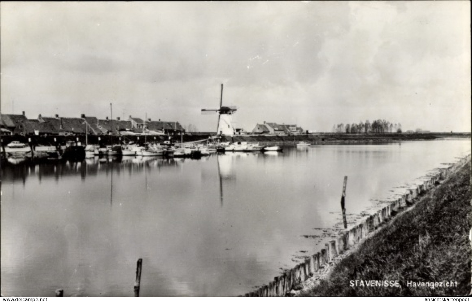 CPA Stavenisse Zeeland Niederlande, Haven, Molen