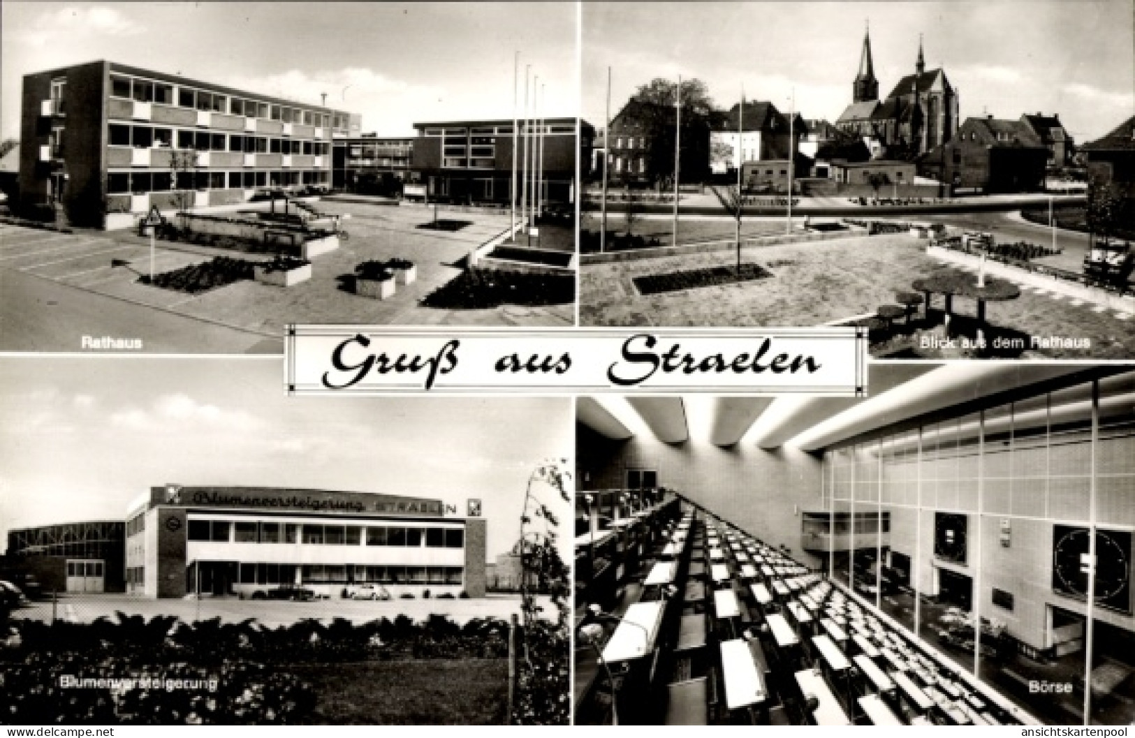 CPA Straelen am Niederrhein, Börse, Blumenversteigerung, Rathaus