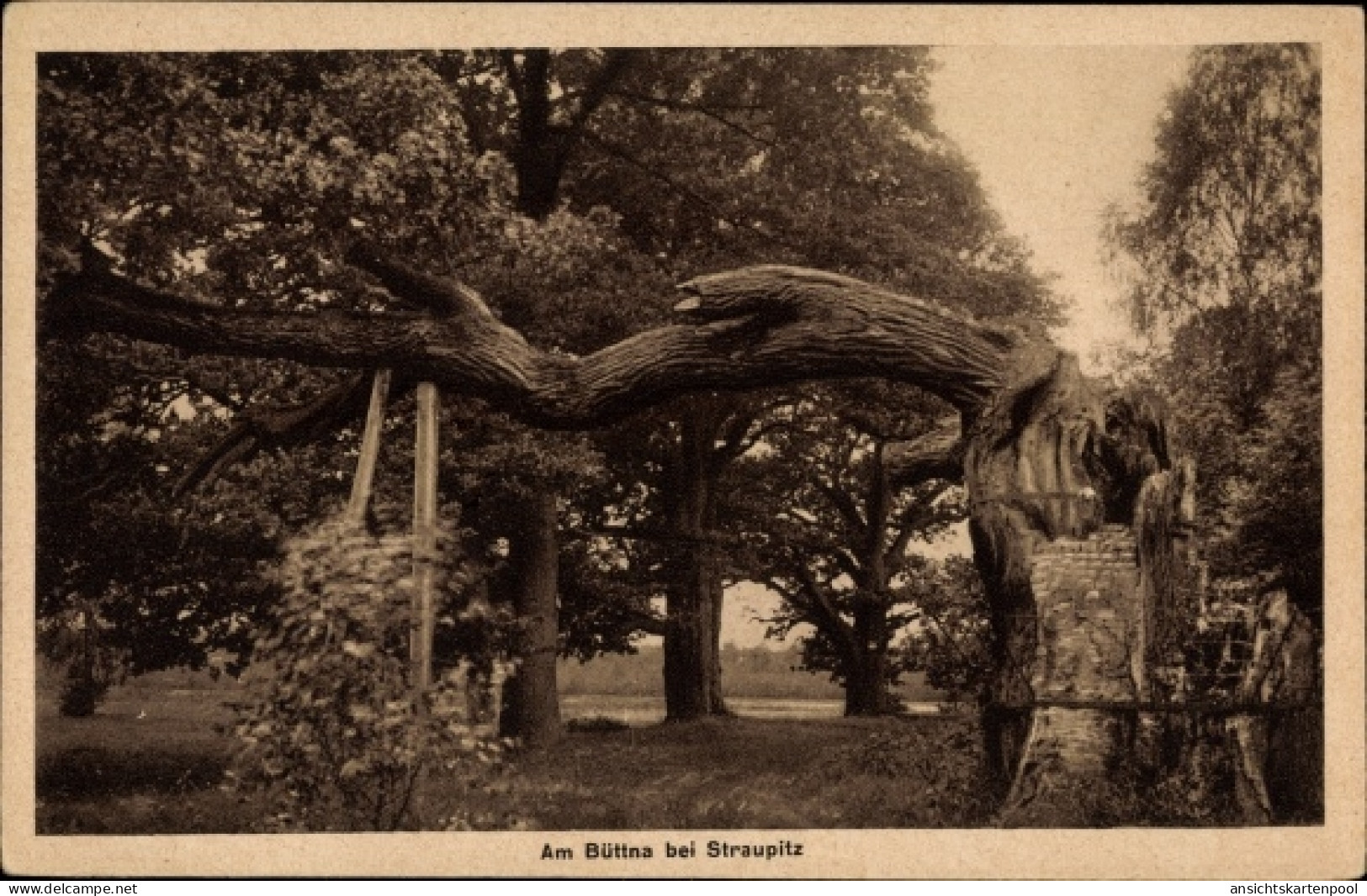 CPA Straupitz im Spreewald, Partie am Büttna