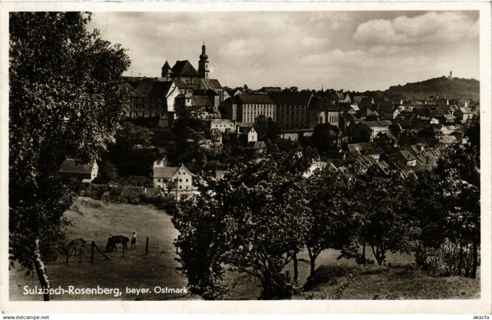 CPA Sulzbach-Rosenberg - Panorama GERMANY (962704)