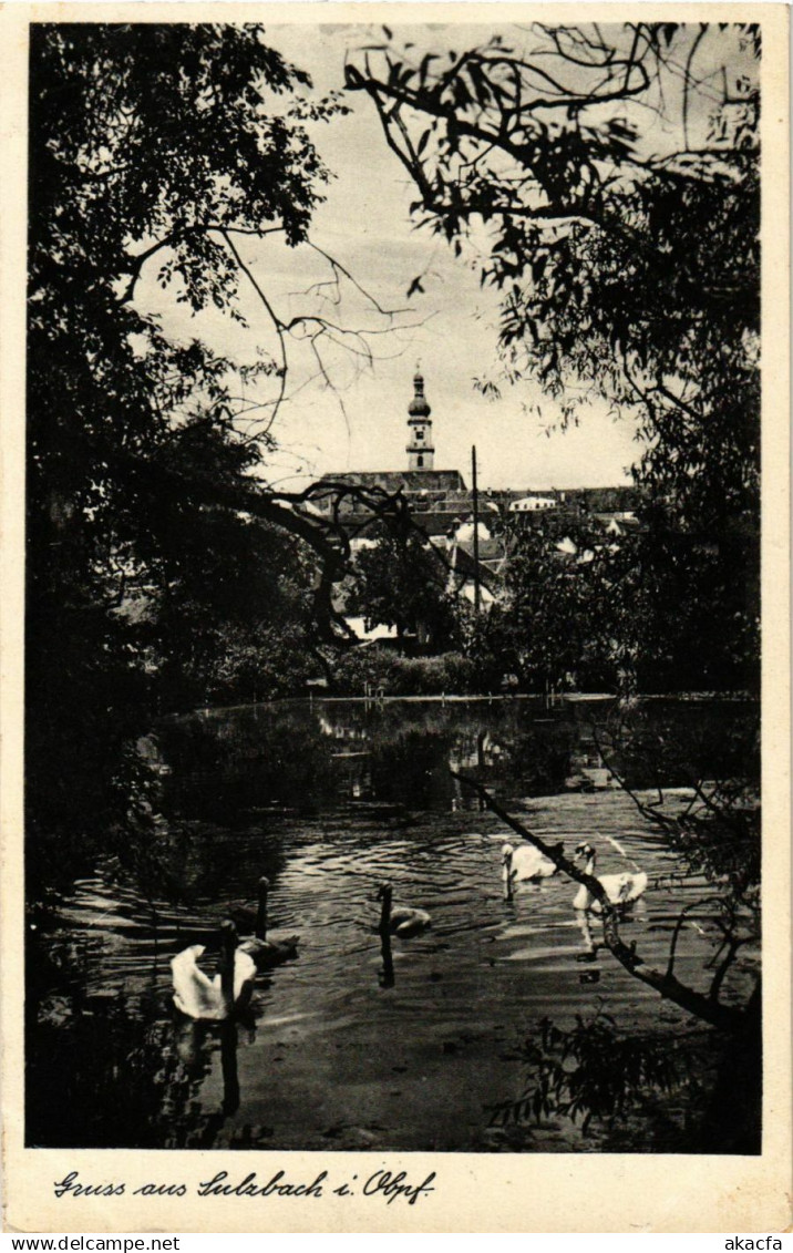 CPA Sulzbach-Rosenberg - Park Scene GERMANY (962659)