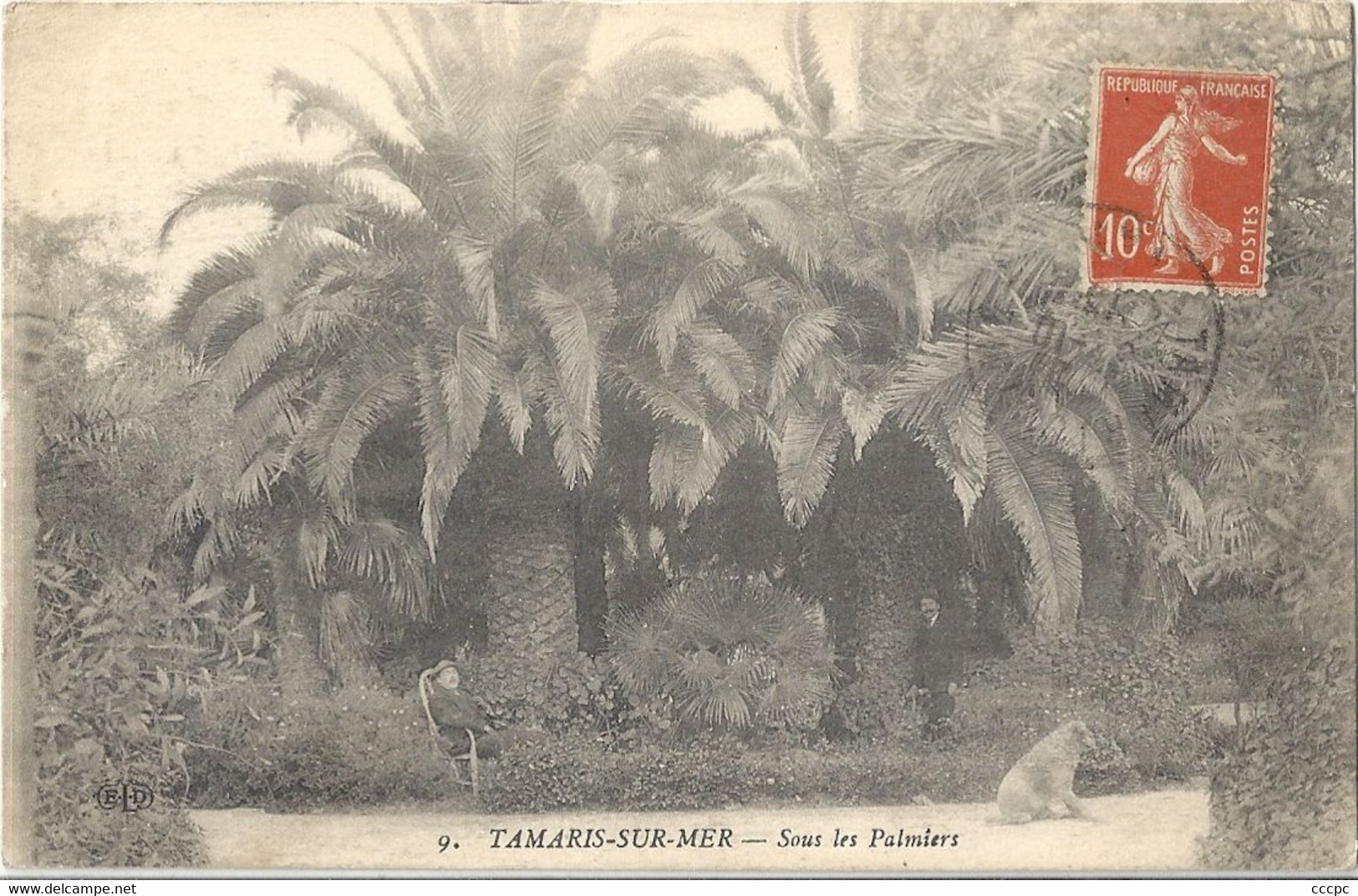 CPA Tamaris Sous les Palmiers