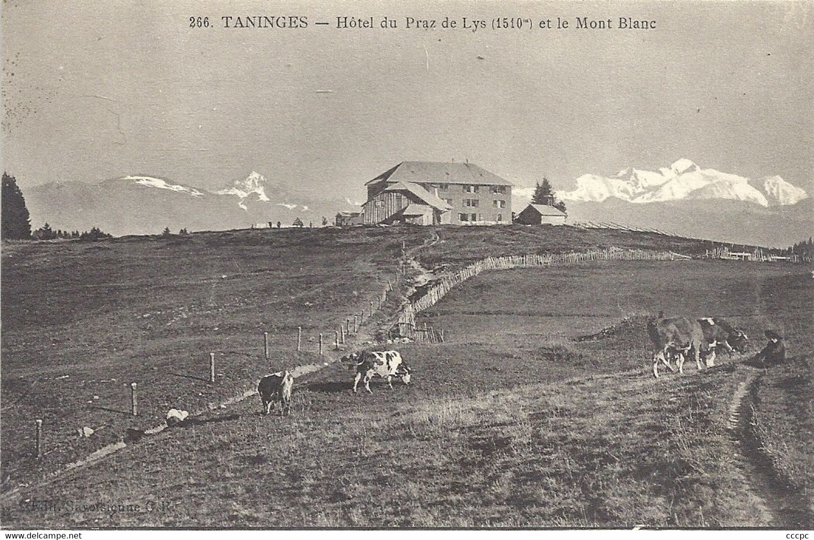 CPA Taninges Hôtel du Praz-de-Lys et le Mont-Blanc