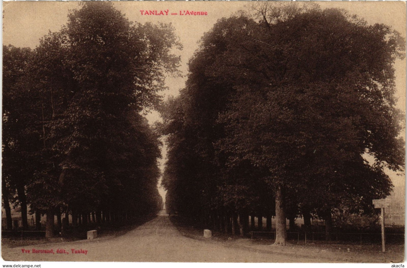 CPA Tanlay L'Avenue FRANCE (1451903)