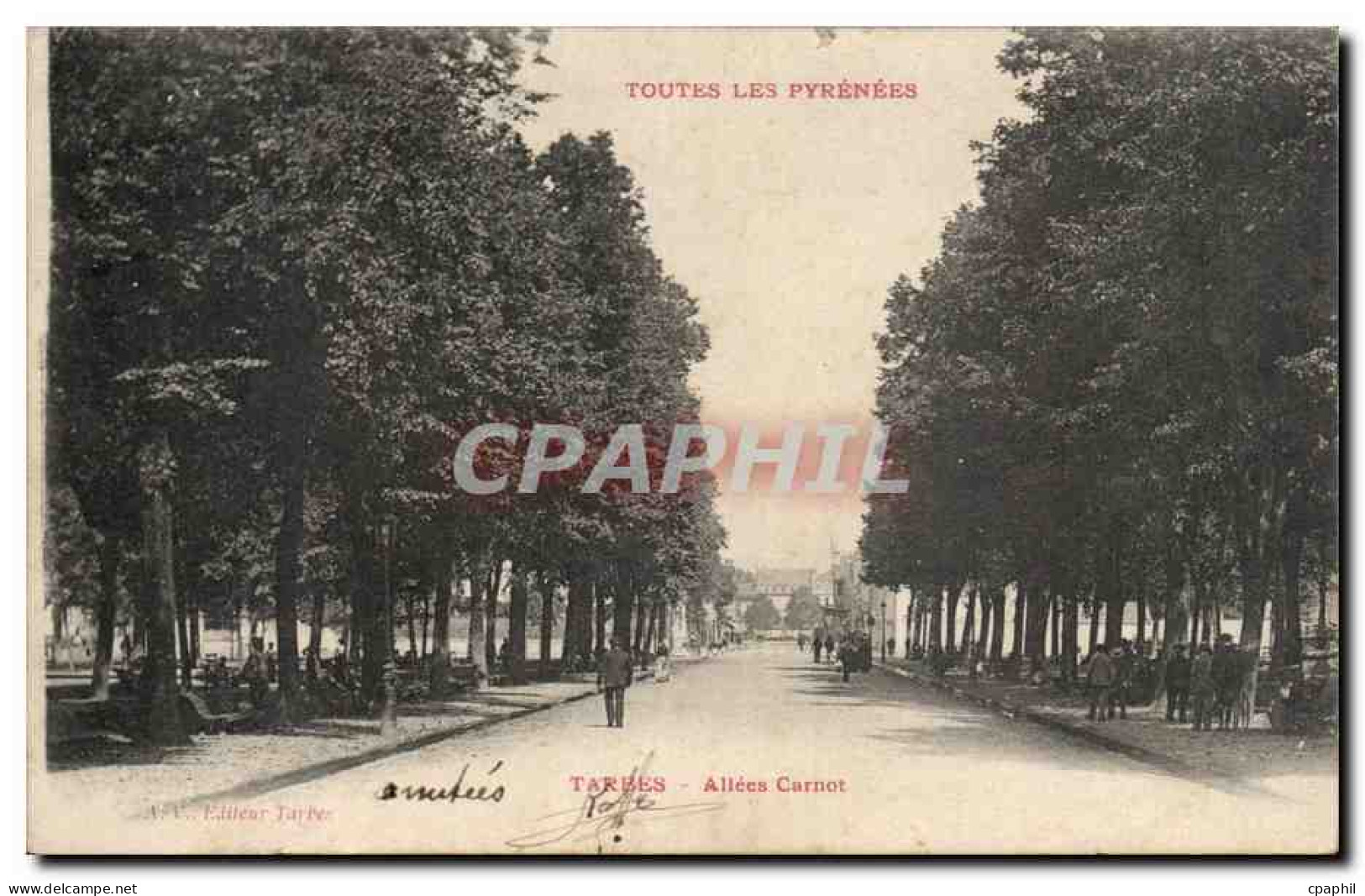CPA Tarbes Allees Carnot