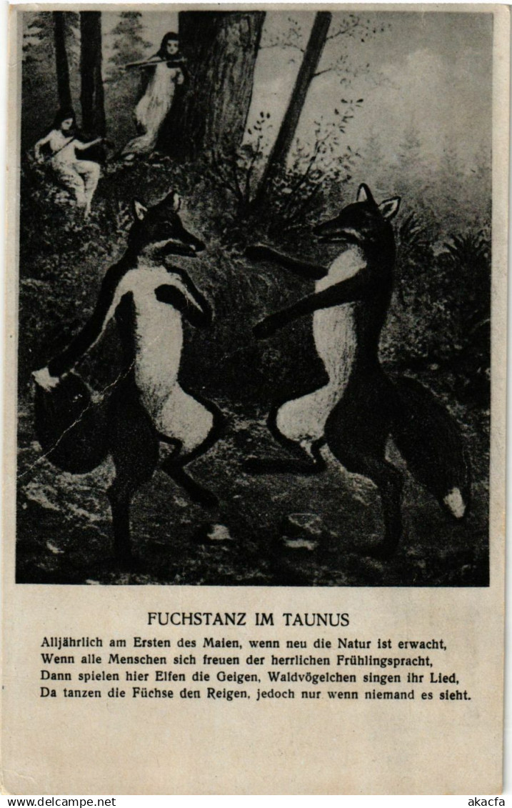 CPA Taunus Fuchstanz im Taunus GERMANY (931024)