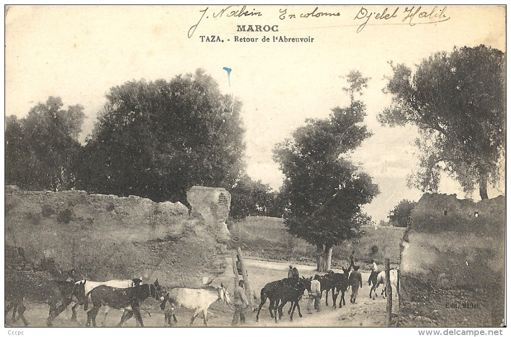 CPA Taza - Retour à l´abreuvoir