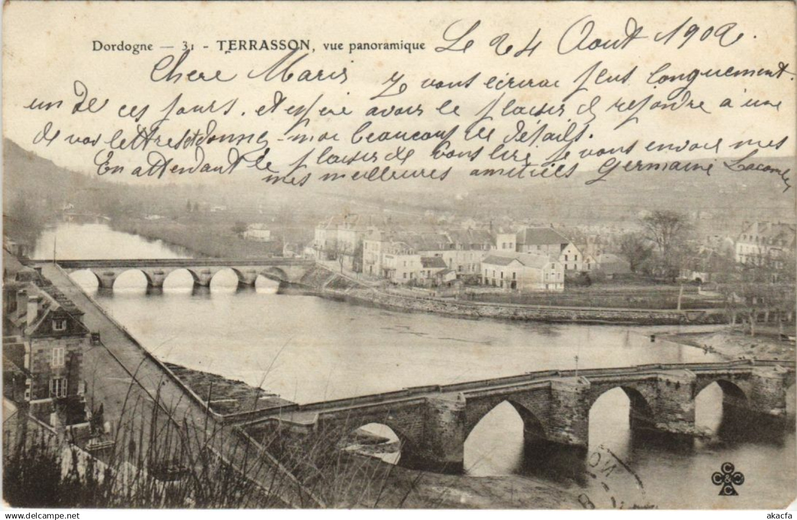 CPA Terrasson - Vue Panoramique (1081728)