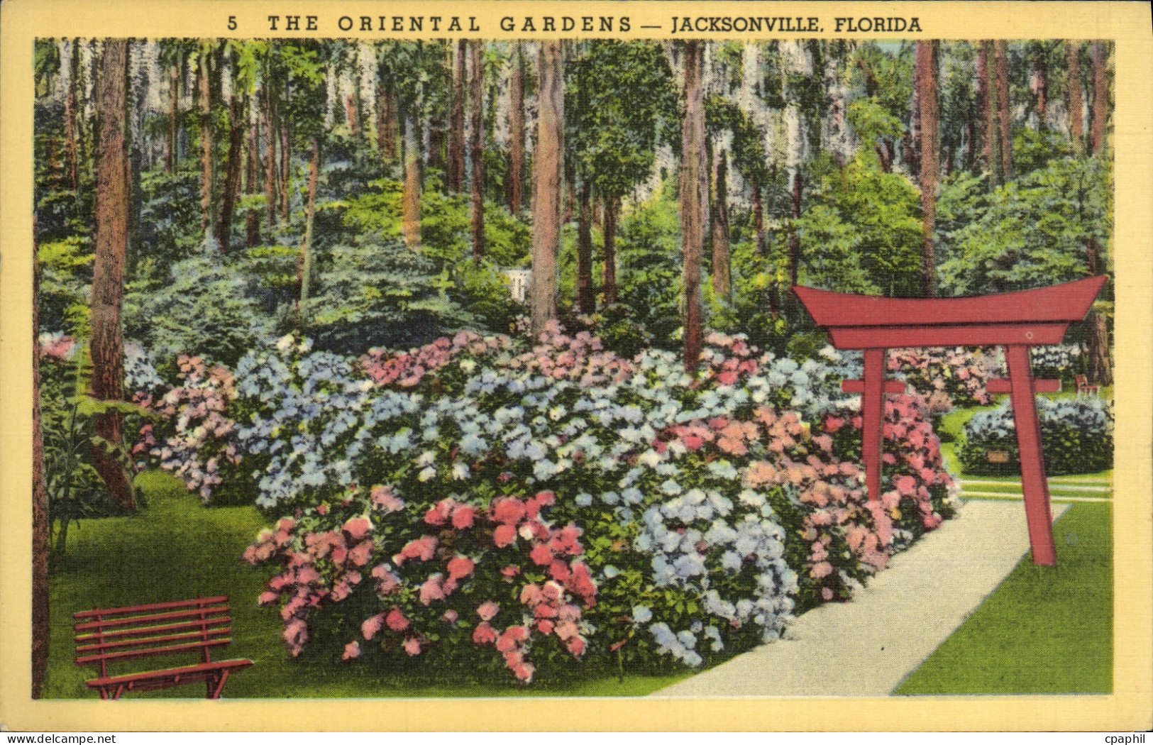 CPA The Oriental Gardens Jacksonville Florida