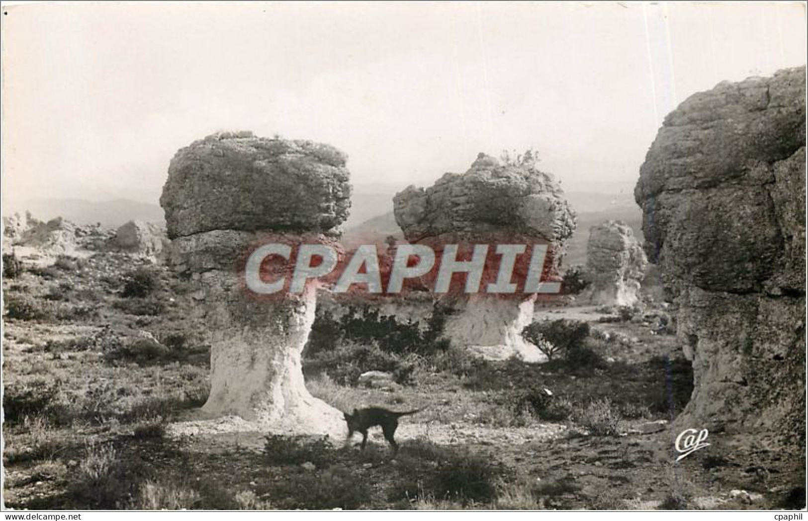 CPA The PROVENCE FORCALQUIER(e.a).Rohes des Mourres