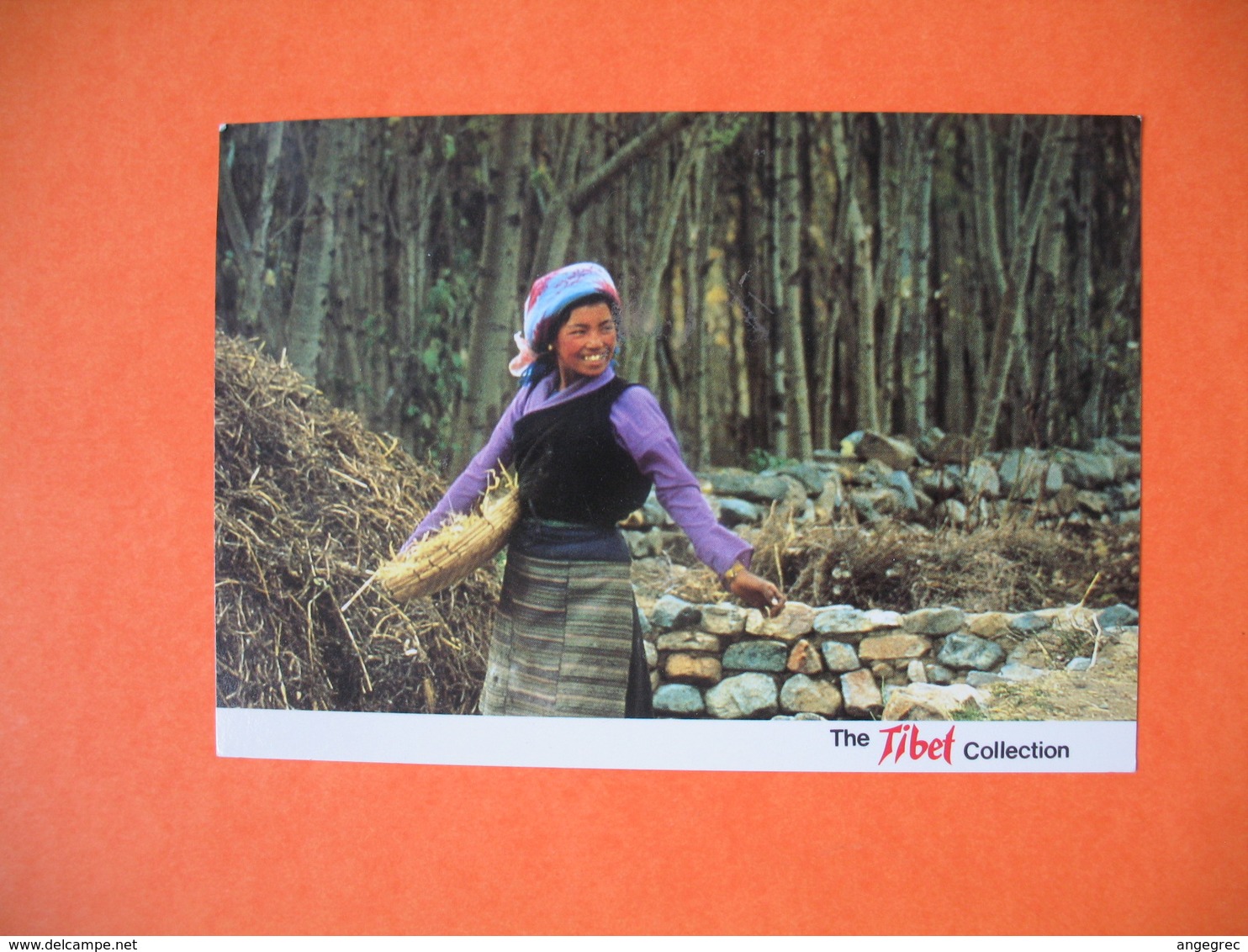 CPA  The Tibet - Tibetan Girl  1992