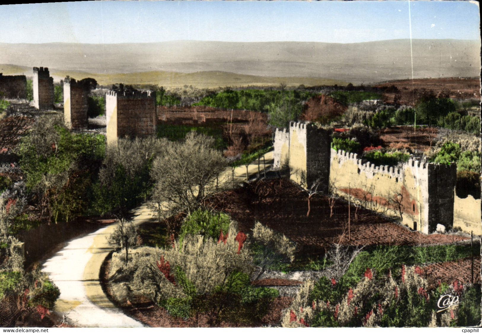 CPA Tlemcen Anciens Remparts de Mansourah