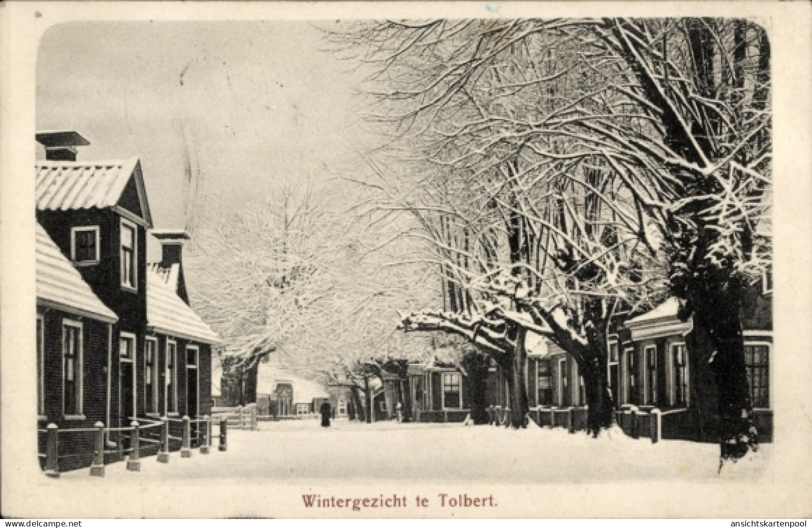 CPA Tolbert Westerkwartier Groningen, Winterlandschaft, schneebedeckte Bäume, Häuser, Straße